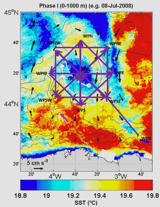 Figure 3. Sea surface temperature map