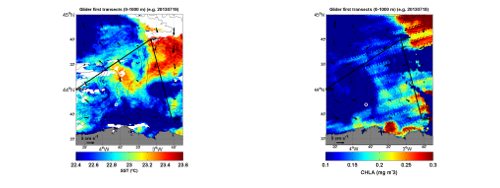 Figure 4. (Left) Sea surface temperature map of the study area on 19 July 2013, with geostrophic currents (black arrows) and the waypoints and first two transects of the mission (black lines). (Right) Chlorophyll-a map of the study area on 18 July 2013, with geostrophic currents (black arrows) and the waypoints and first two transects of the mission 