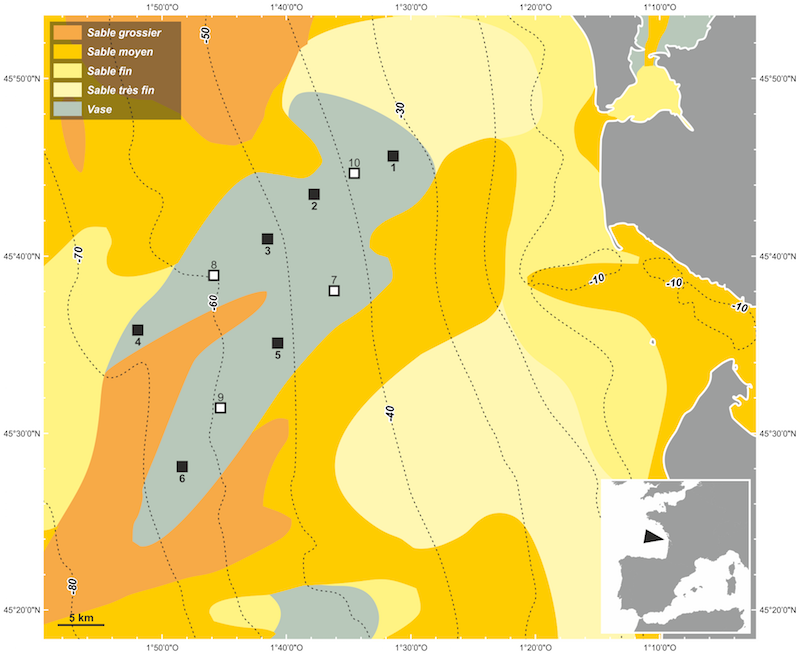 West-Gironde Mud Patch action. Locations of the sampled stations along the two inshore/offshore gradients