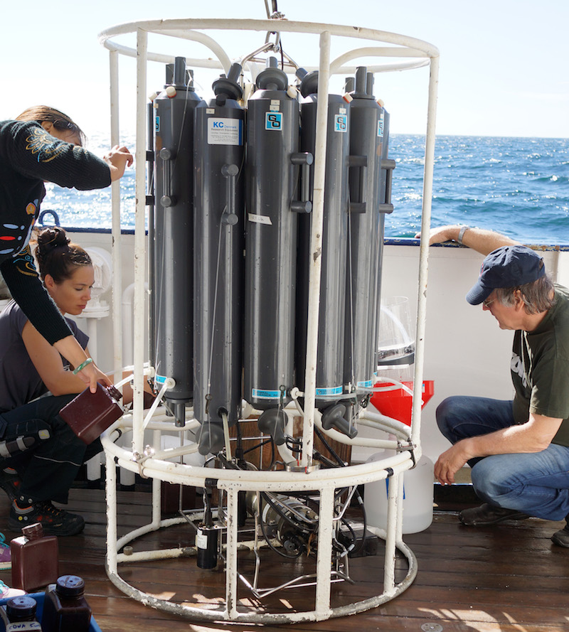 Phytoplankton biodiversity investigated with novel methods