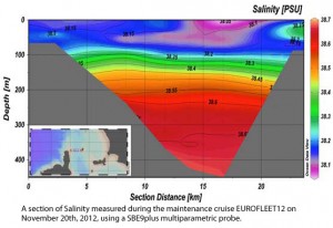 Cruise salinity