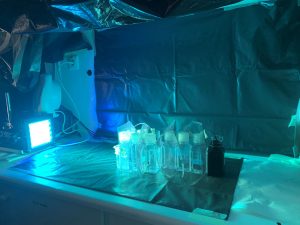 scientific fluorometry sensor (LabSTAF) under blue light