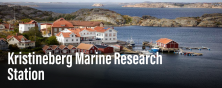 kristineberg marine research station image