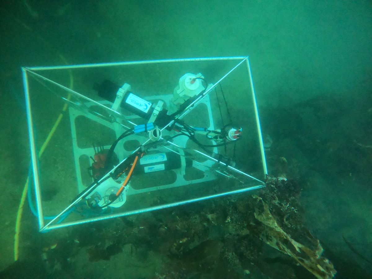 photo of a top view of the cEGIM just after deployment near the pier of Sainte-Anne du Portzic.