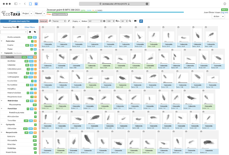 EcoTaxa Web Application